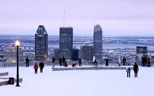 Longevity Walk (Mt-Royal) December 13th, 2025